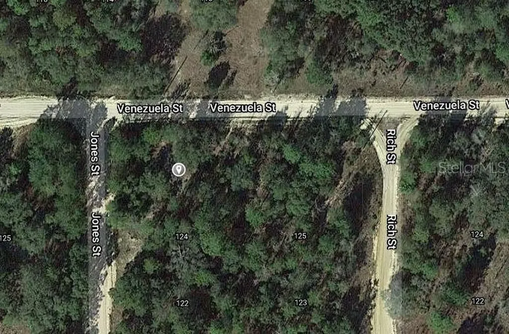00 Jones Street Interlachen FL 32148