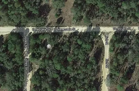 00 Jones Street Interlachen FL 32148