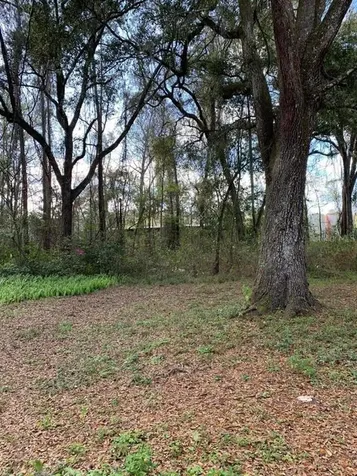 25131 Cortez Boulevard Brooksville FL 34601