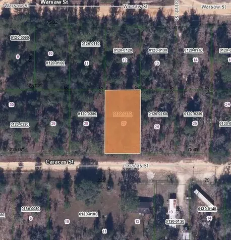 116 Caracas Street Interlachen FL 32148