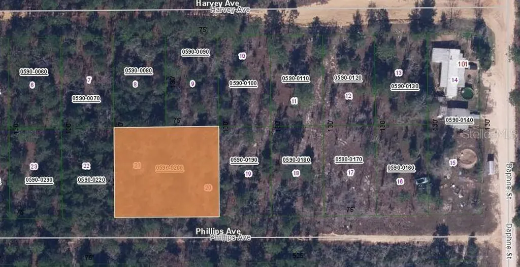 00 Phillips Avenue Interlachen FL 32148