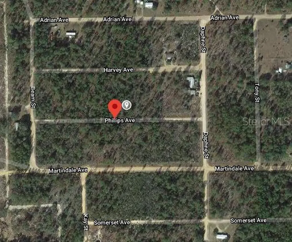 00 Phillips Avenue Interlachen FL 32148