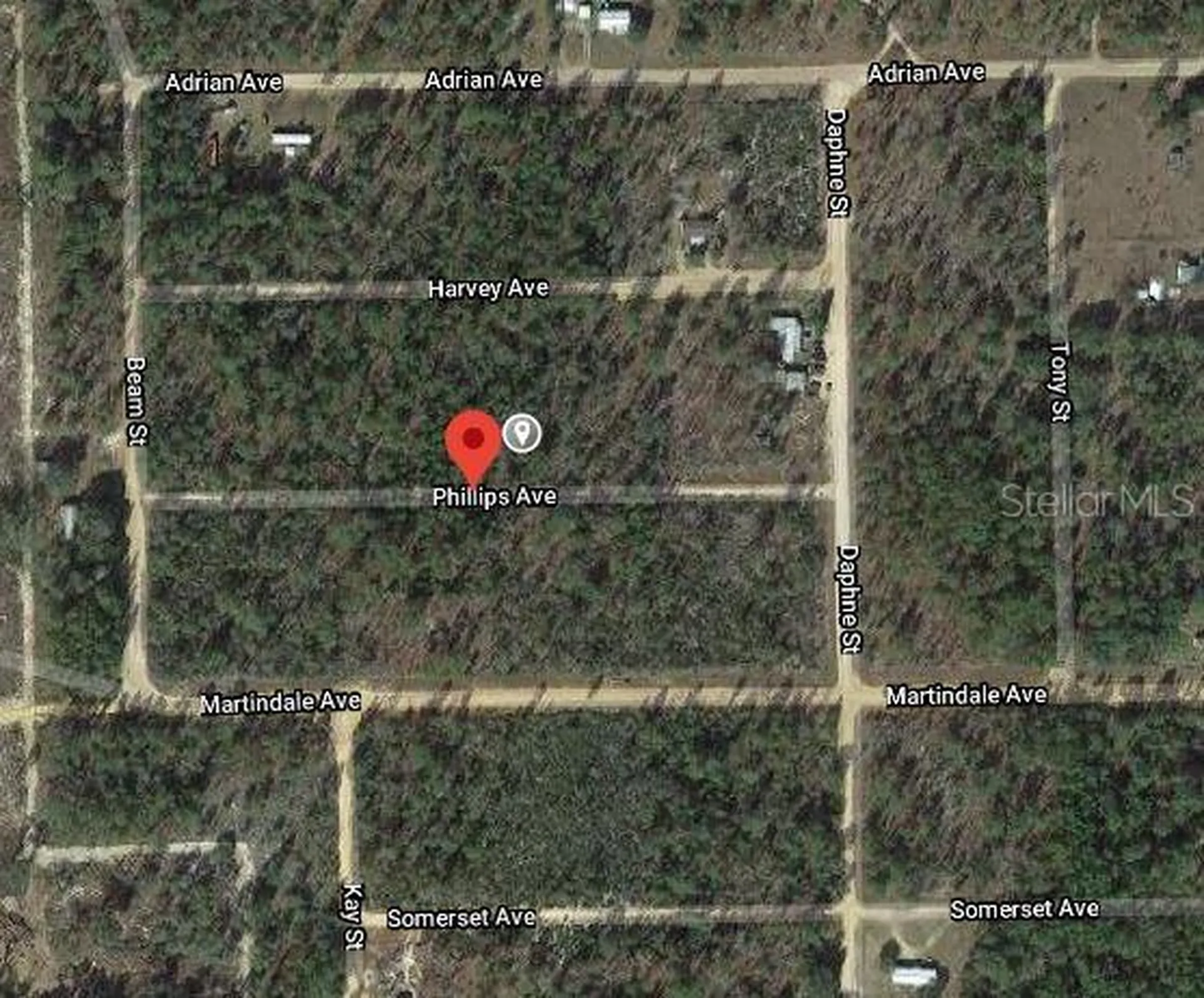 00 Phillips Avenue Interlachen FL 32148