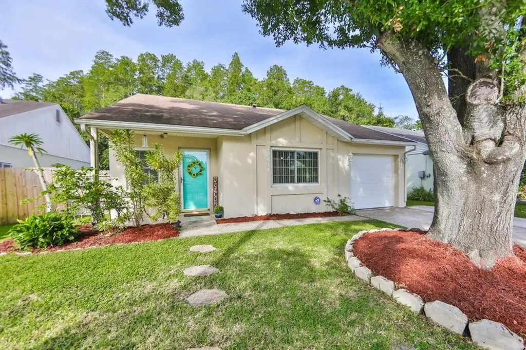 12416 Pepperfield Drive Tampa FL 33624