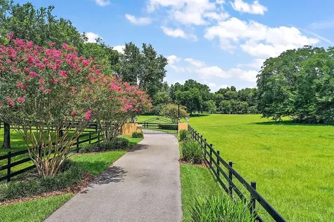 30611 Cinnamon Road Sorrento FL 32776