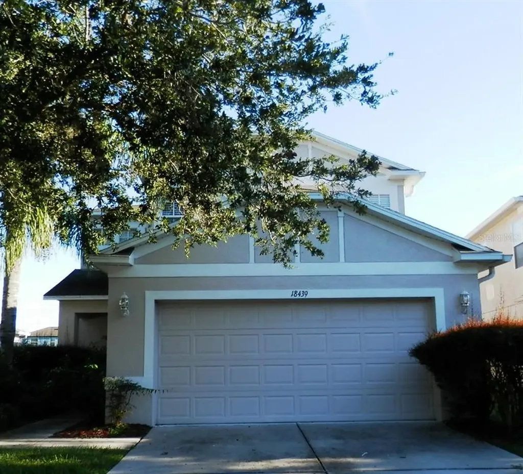 18439 Snowdonia Drive Land O Lakes FL 34638