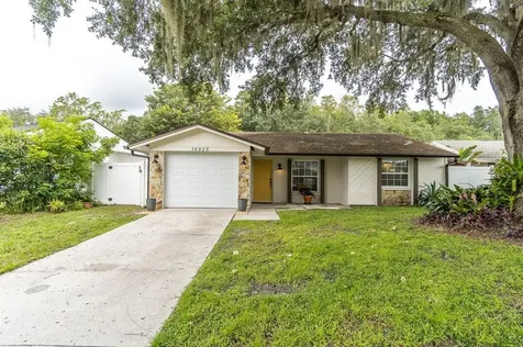 16025 Saddlestring Drive Tampa FL 33618