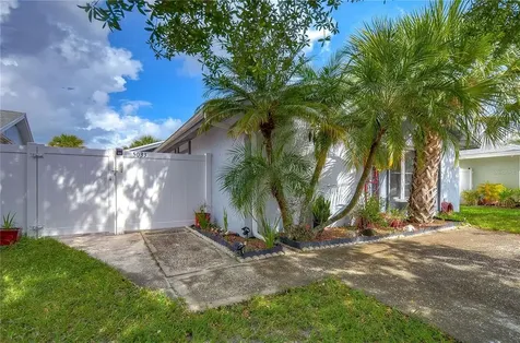 5033 Springwood Drive Tampa FL 33624