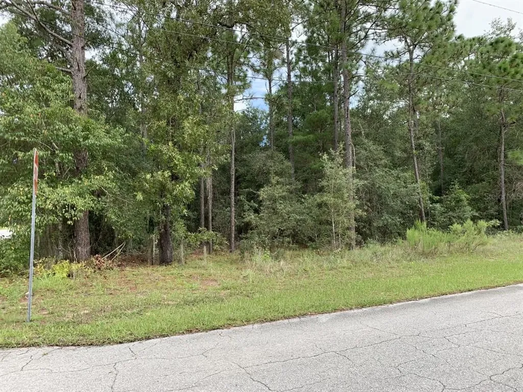 5211 E Clayre Lane Inverness FL 34452