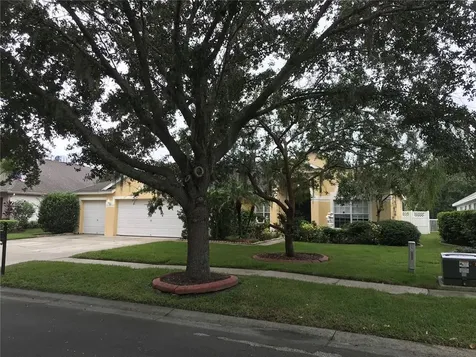 17734 Currie Ford Drive Lutz FL 33558