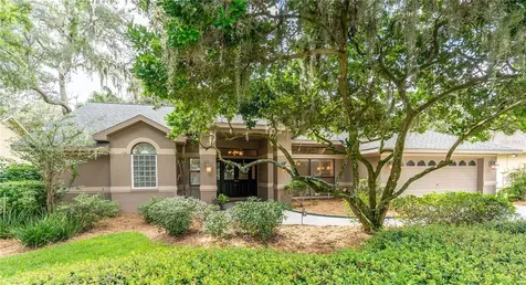 1908 Cimmaron Run Drive Valrico FL 33594