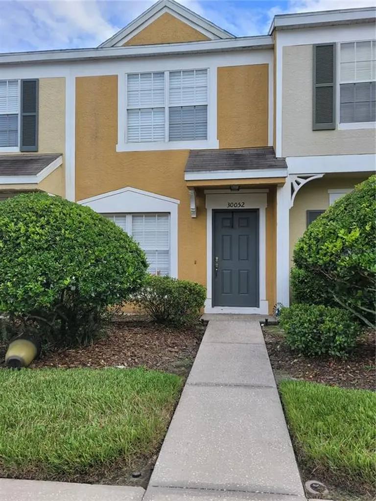 30052 Granda Hills Court Wesley Chapel FL 33543