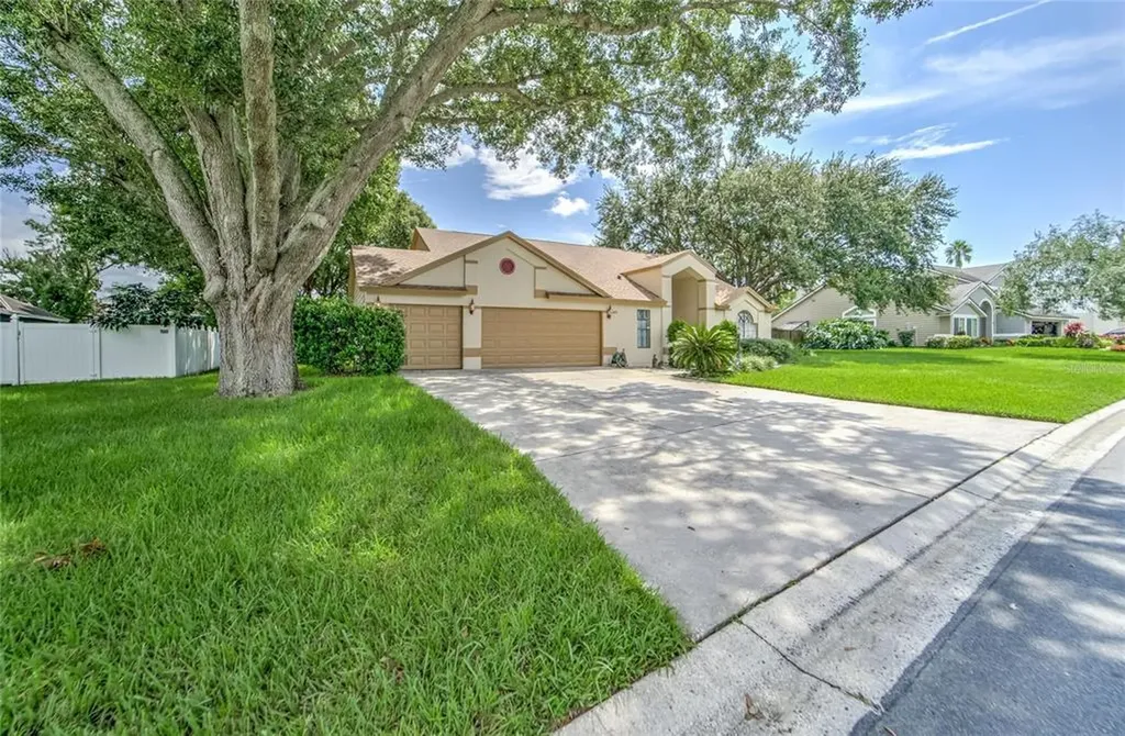 2716 Buckhorn Oaks Drive Valrico FL 33594