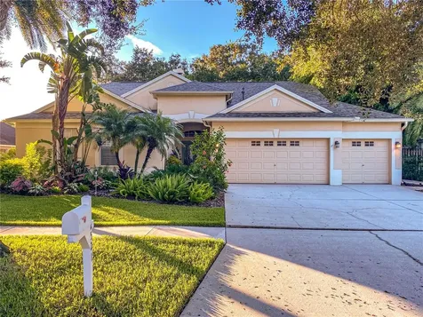 12521 River Birch Drive Riverview FL 33569