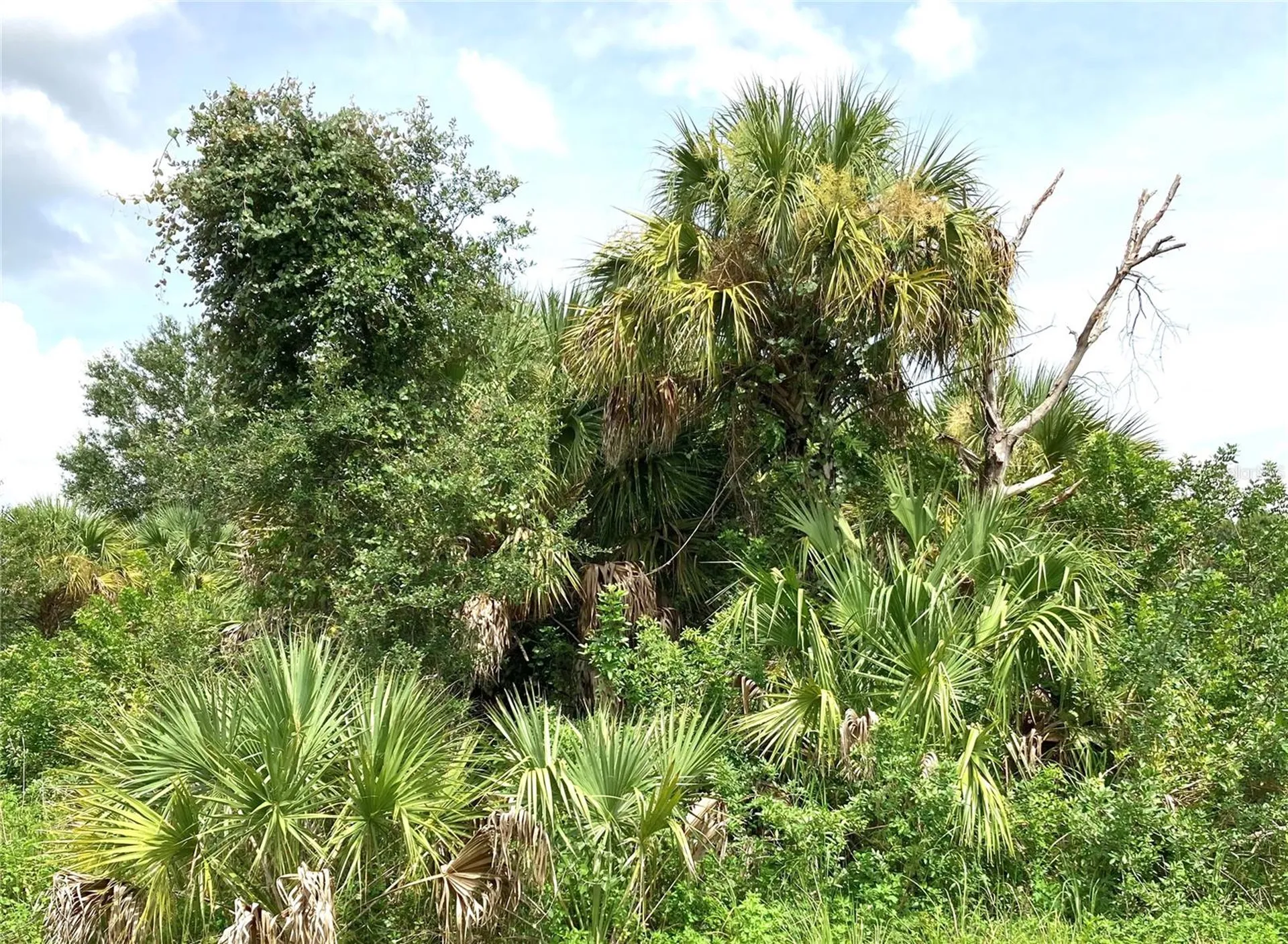 Fiveleaf Road North Port FL 34288