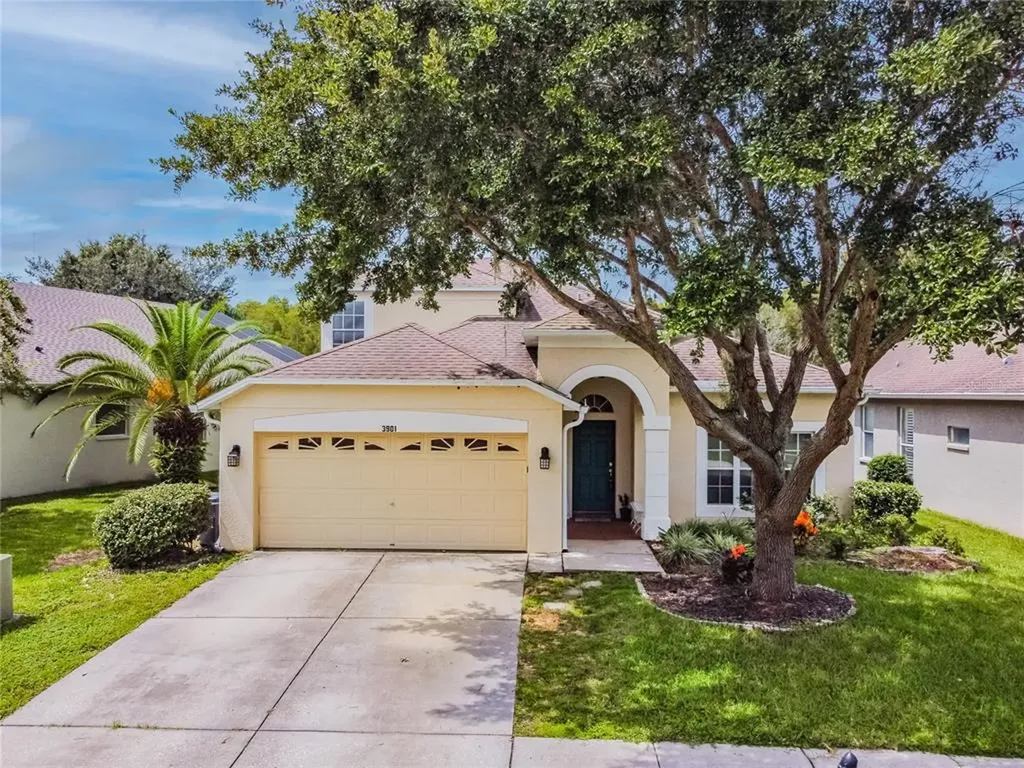 3901 Duke Firth Street Land O Lakes FL 34638