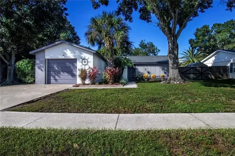 11507 Smokethorn Drive Riverview FL 33579