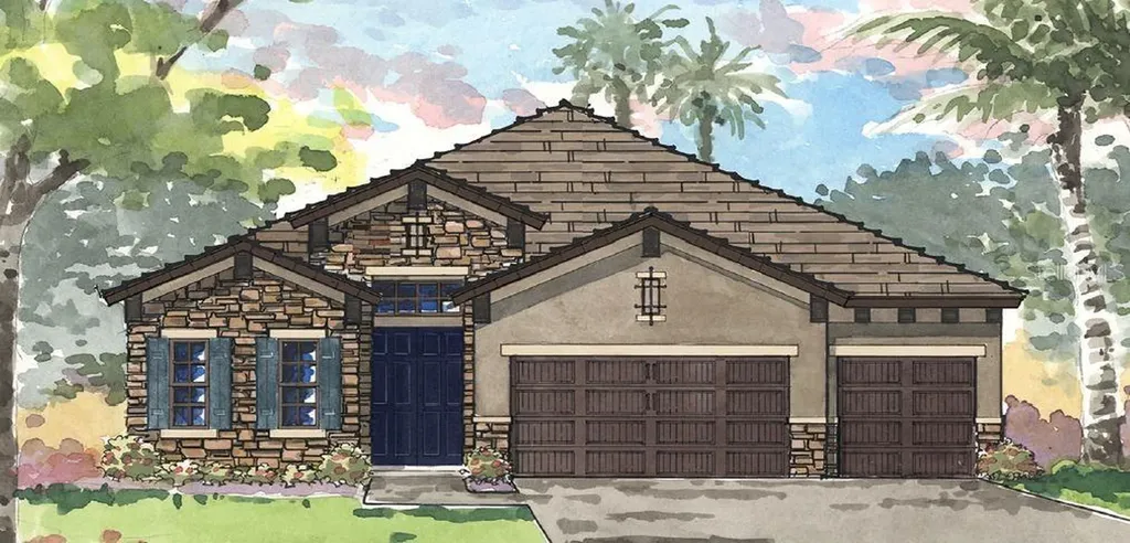 3006 Silva Wood Drive Valrico FL 33596