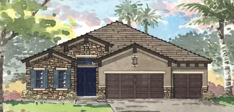 3006 Silva Wood Drive Valrico FL 33596