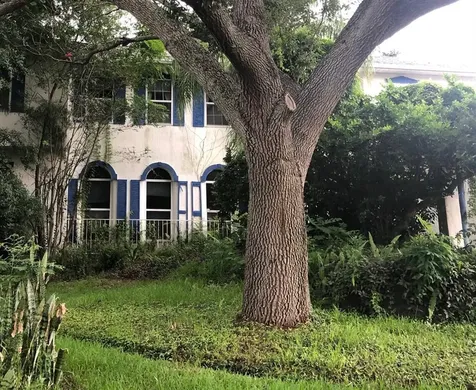 55 Martinique Avenue Tampa FL 33606
