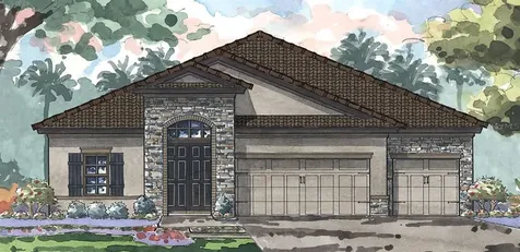 13710 Osprey Fern Lane Riverview FL 33569