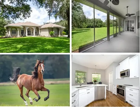 12410 Trotter Court Tampa FL 33626