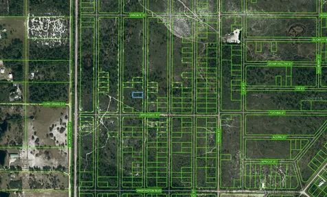 866 Scarlet Oak Street Lake Placid FL 33852