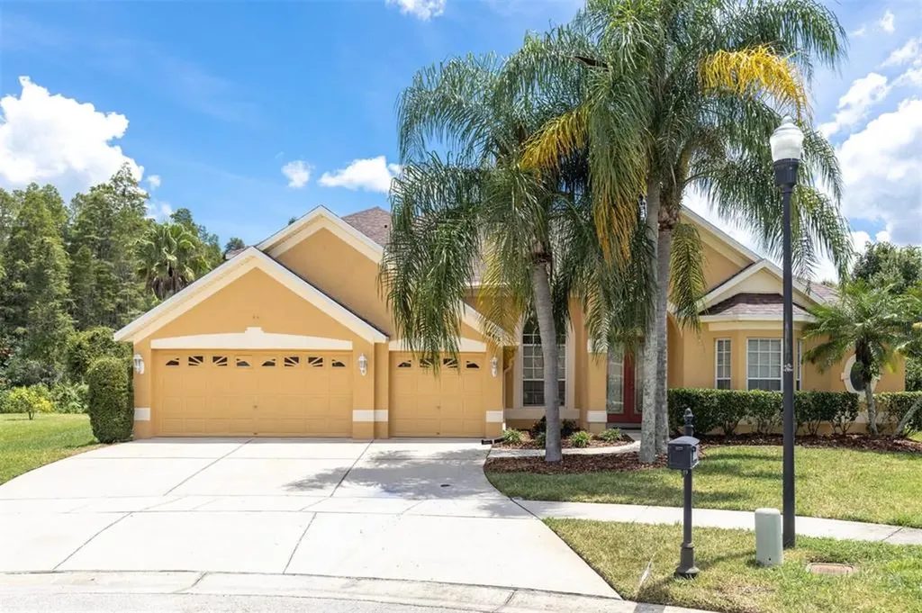10415 Rocky River Court Tampa FL 33647