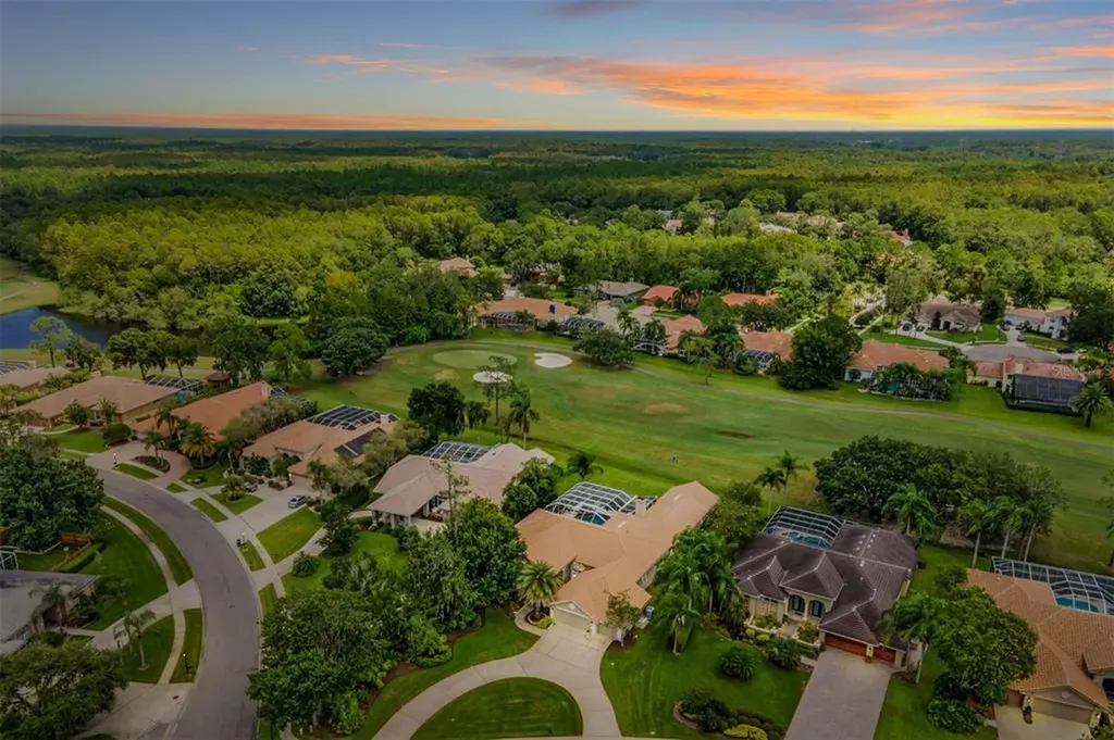 1299 Coverstone Court Oldsmar FL 34677