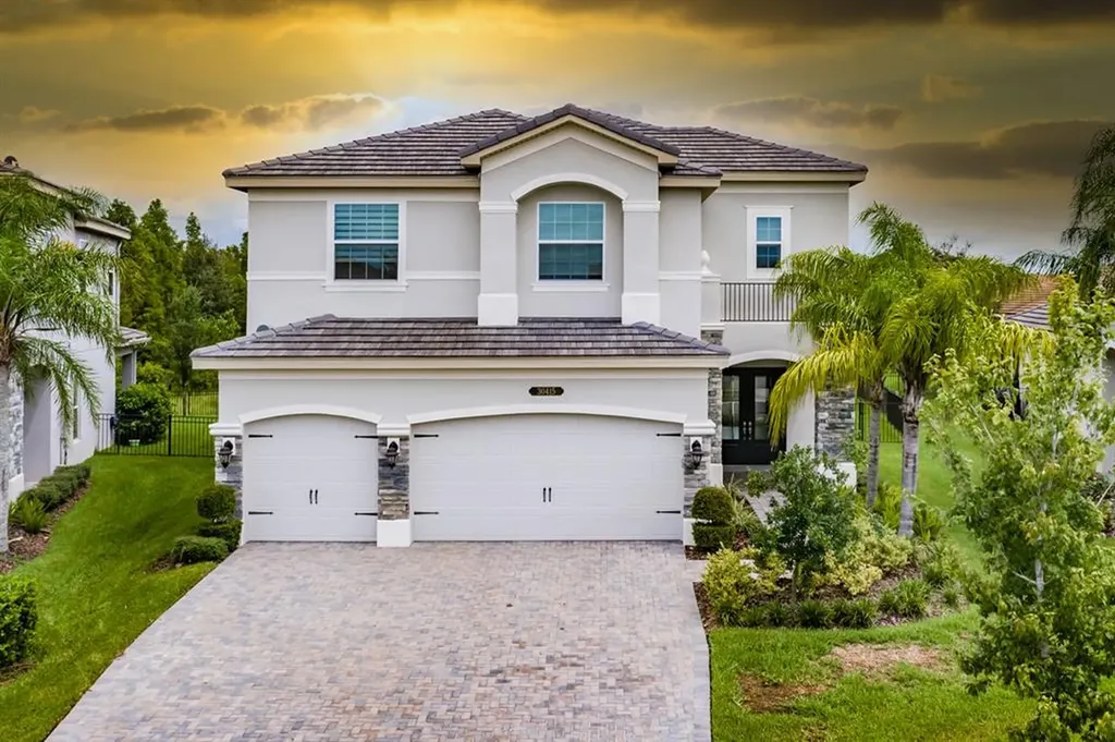 30415 Tristania Court Wesley Chapel FL 33543