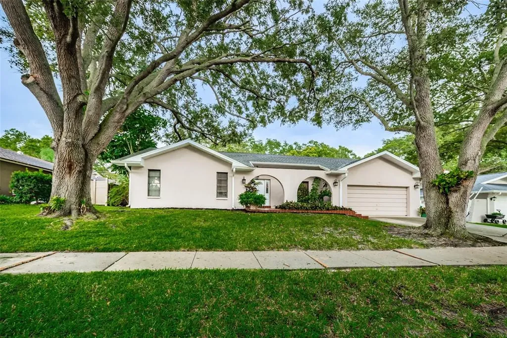 310 Lakeview Terrace Palm Harbor FL 34683