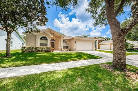 17719 Hampshire Oak Drive Tampa FL 33647