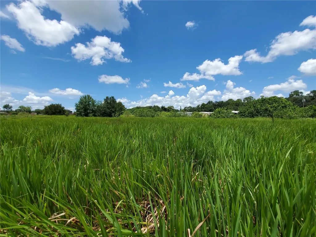 Woodland Avenue Lakeland FL 33801