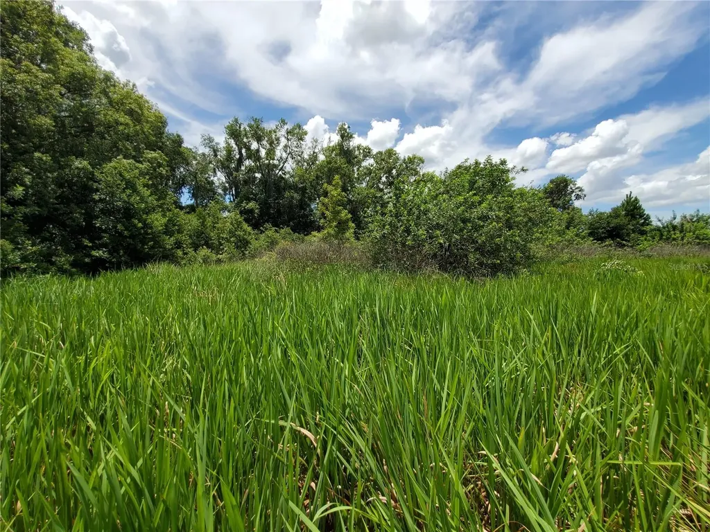 Woodland Avenue Lakeland FL 33801