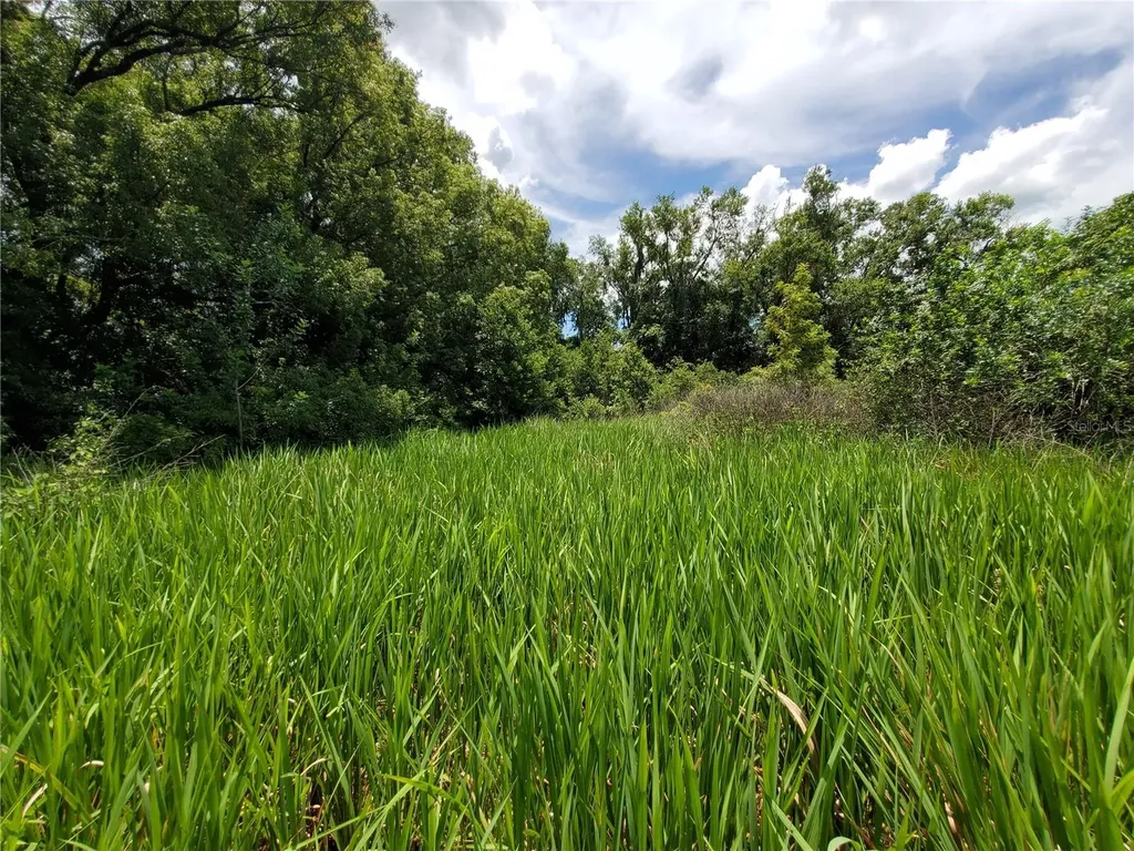 Woodland Avenue Lakeland FL 33801