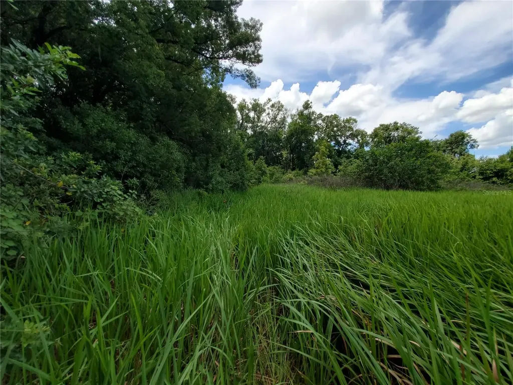 Woodland Avenue Lakeland FL 33801