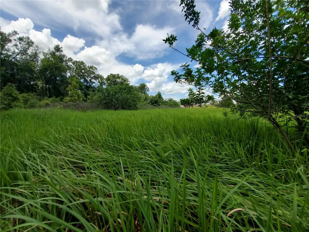 Woodland Avenue Lakeland FL 33801