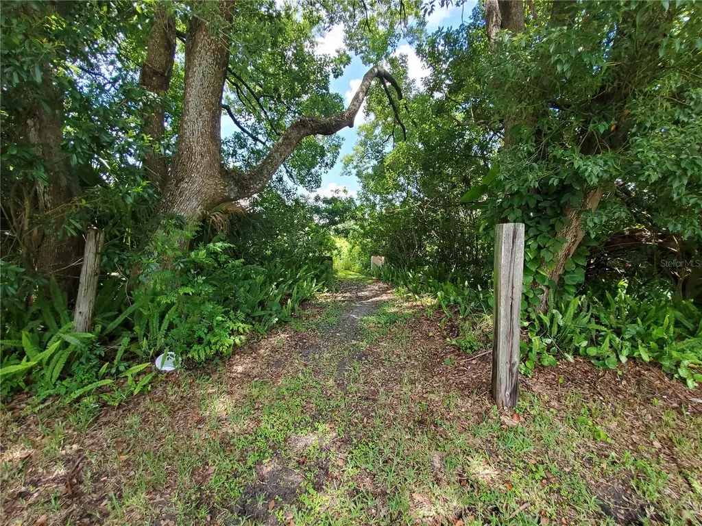 Woodland Avenue Lakeland FL 33801