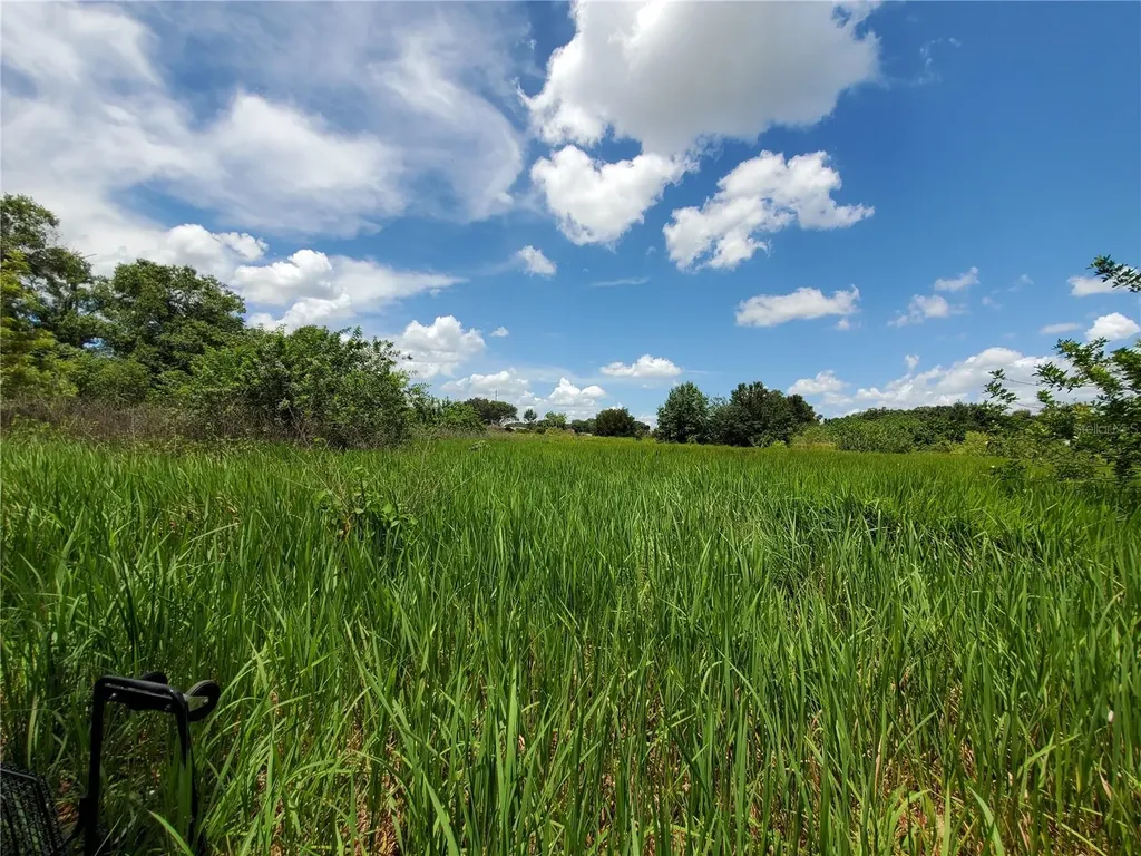 Woodland Avenue Lakeland FL 33801