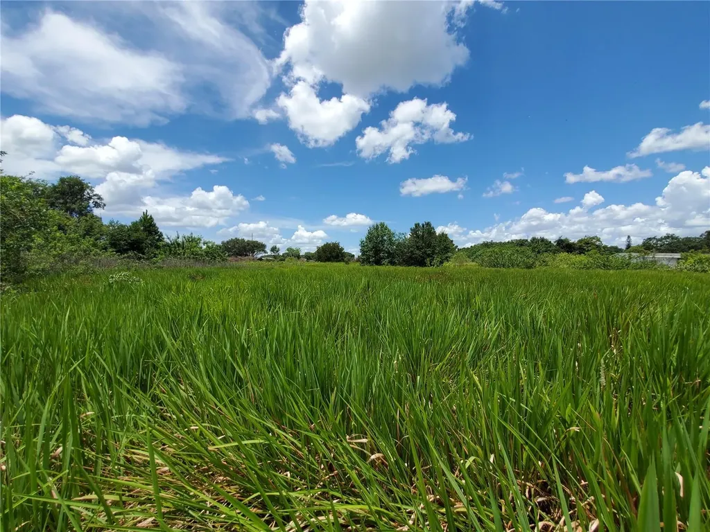 Woodland Avenue Lakeland FL 33801