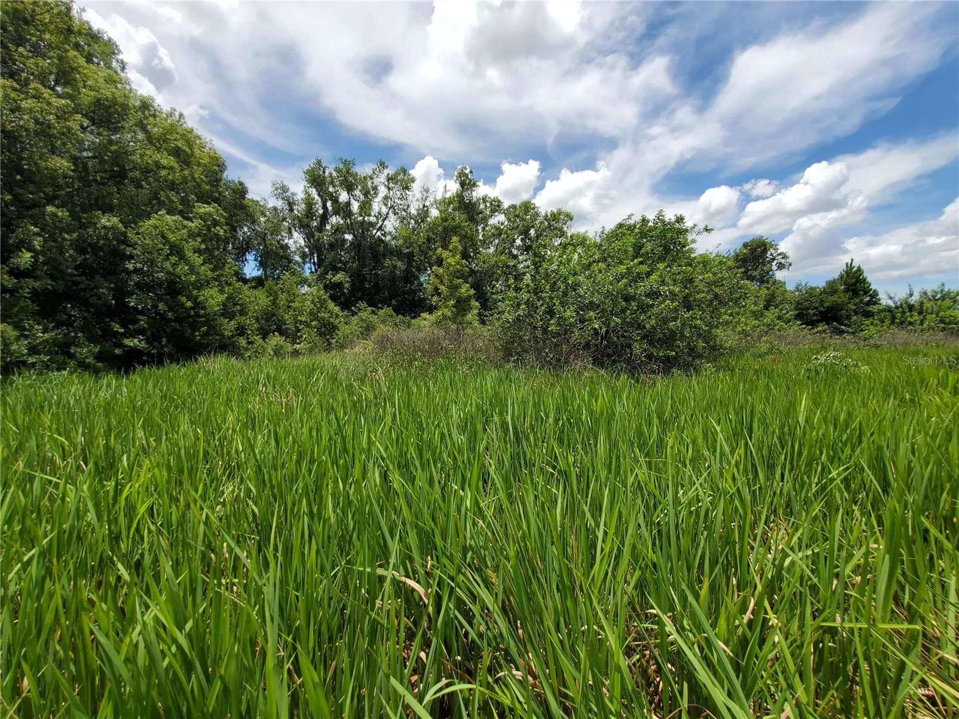 Woodland Avenue Lakeland FL 33801