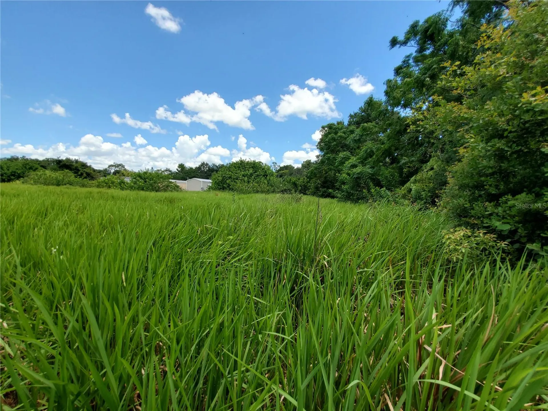 Woodland Avenue Lakeland FL 33801