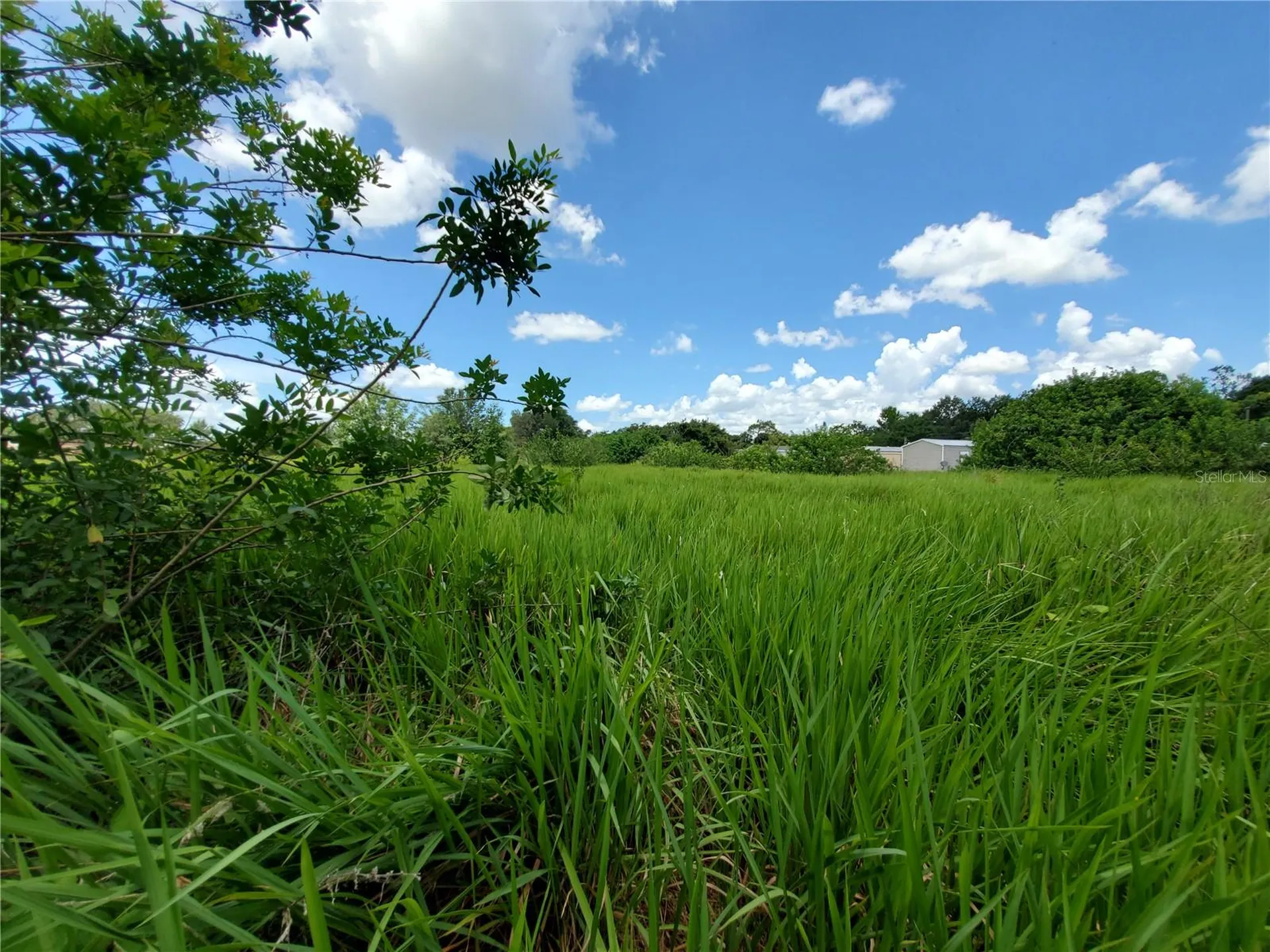 Woodland Avenue Lakeland FL 33801