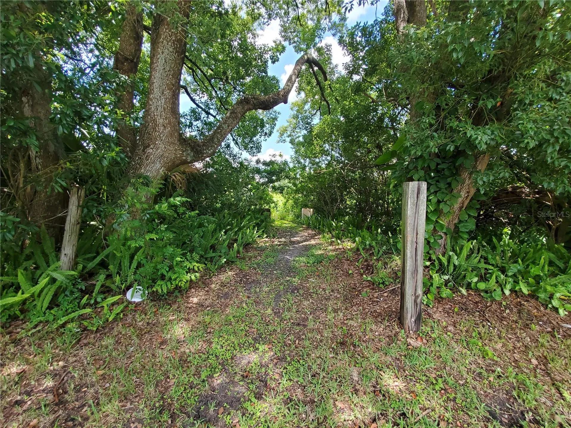 Woodland Avenue Lakeland FL 33801