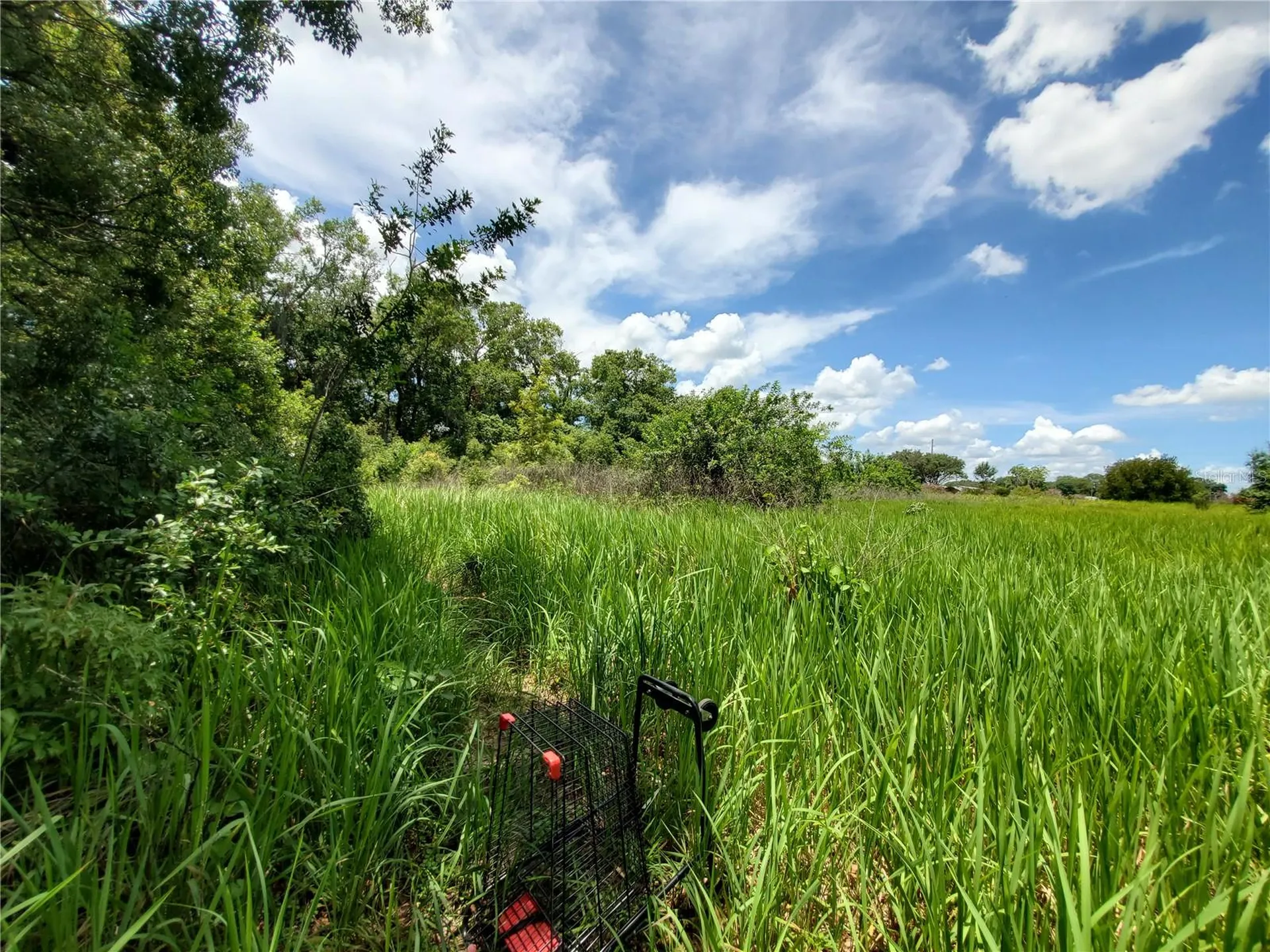 Woodland Avenue Lakeland FL 33801