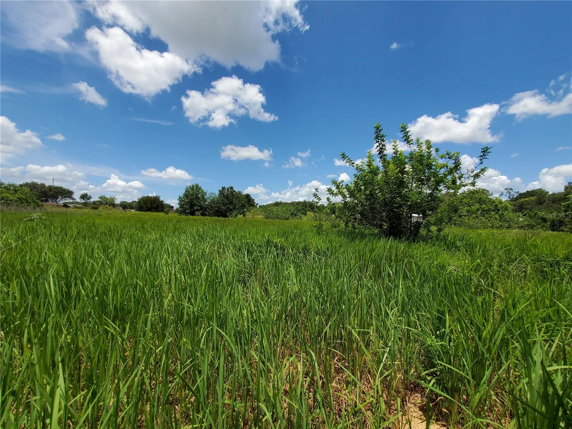 Woodland Avenue Lakeland FL 33801