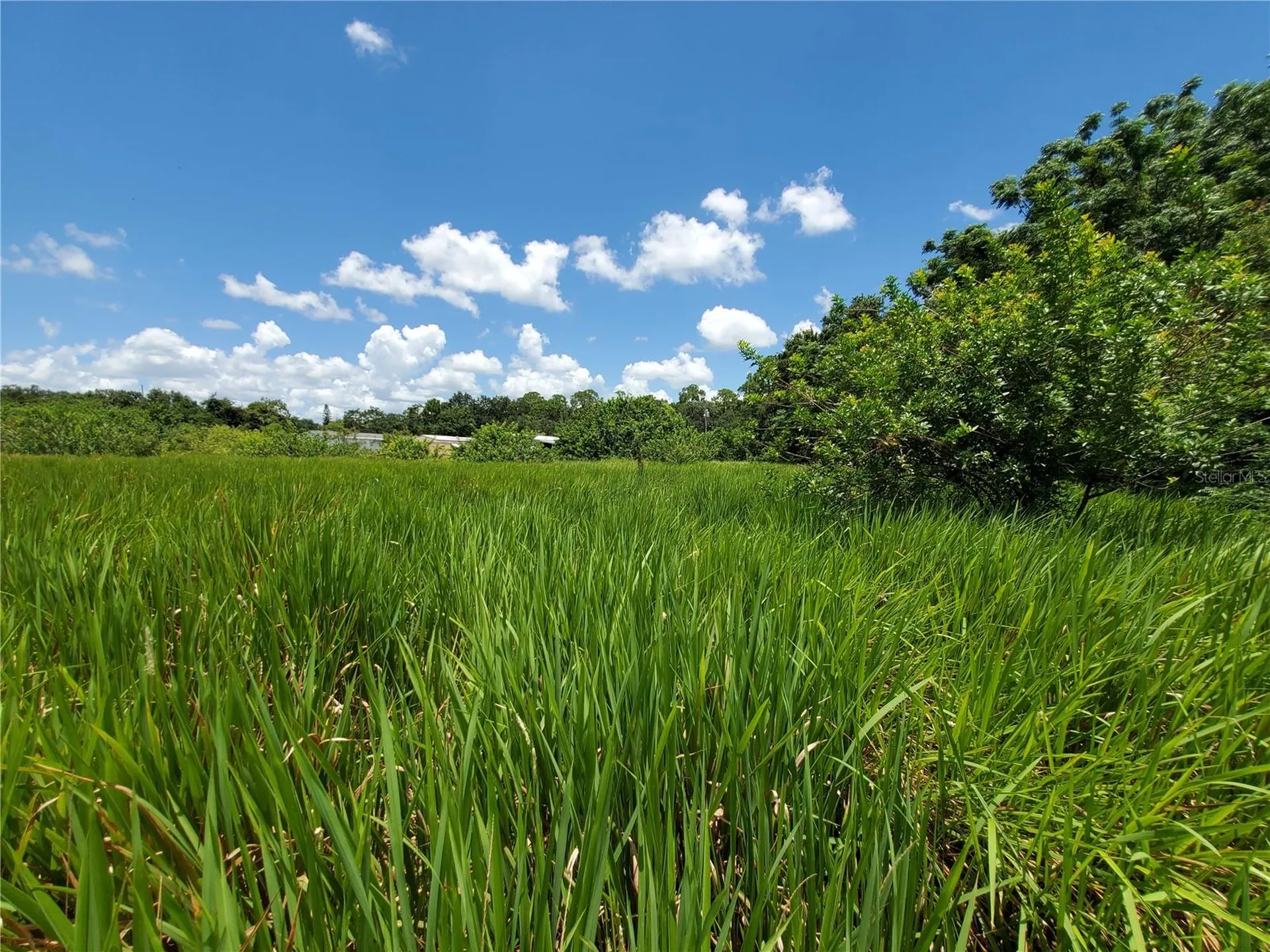 Woodland Avenue Lakeland FL 33801