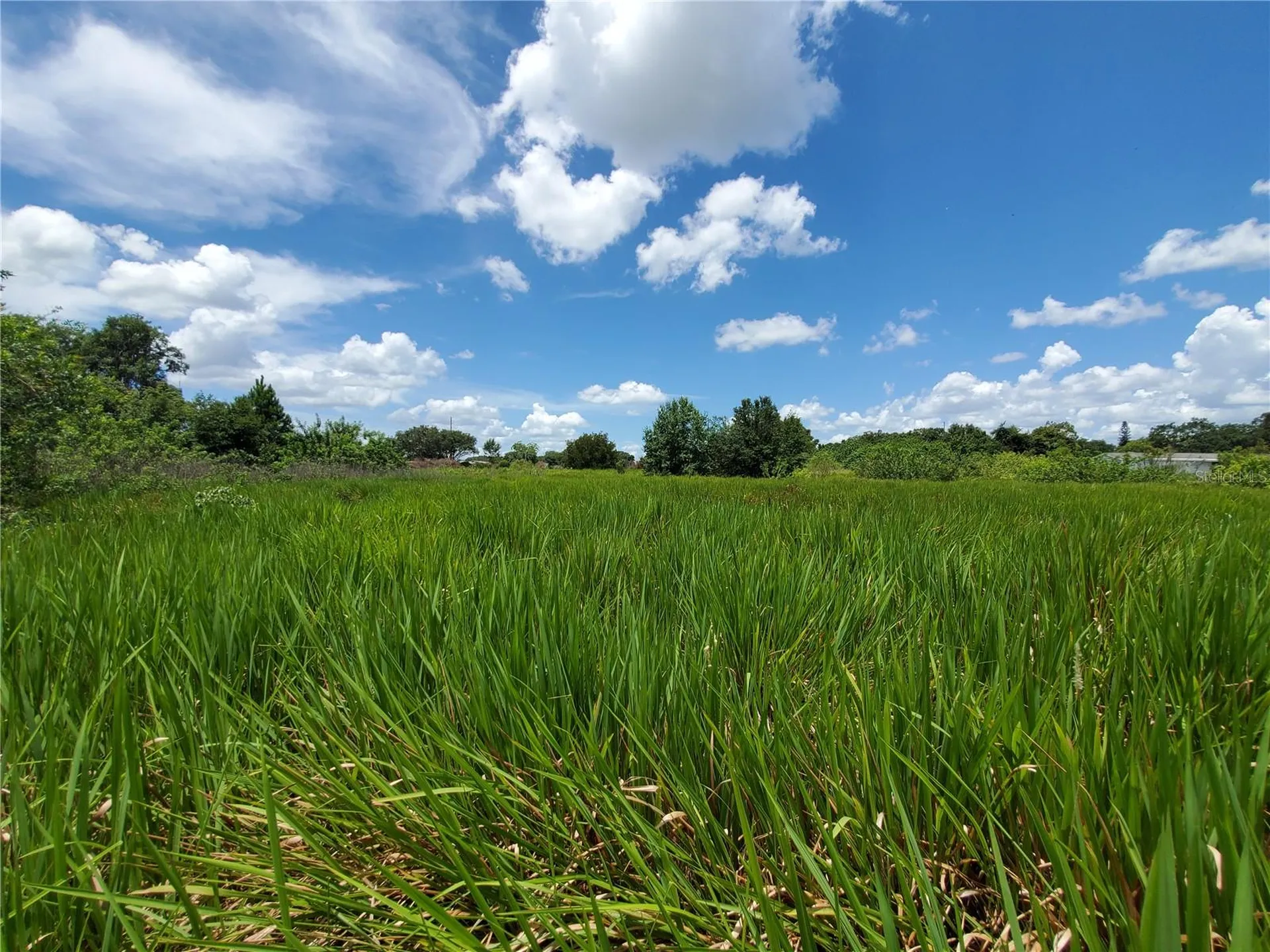 Woodland Avenue Lakeland FL 33801