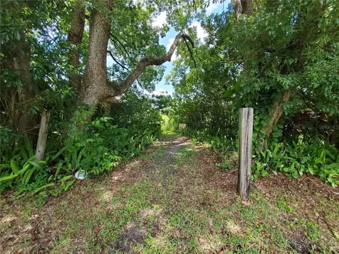 Woodland Avenue Lakeland FL 33801