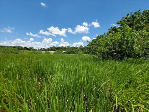 Woodland Avenue Lakeland FL 33801